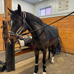 RedWell™ Equine Blanket