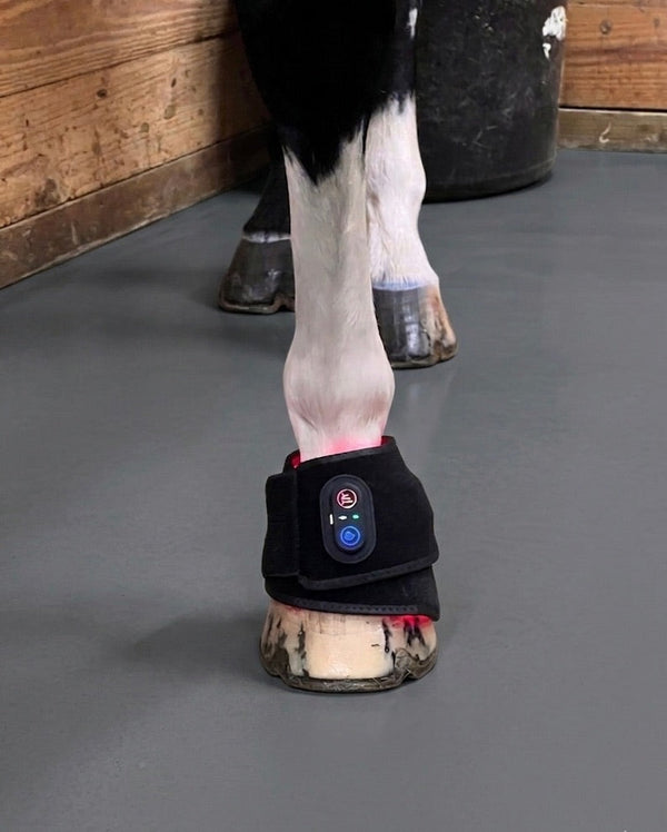 Vendaje RedWell™ para casco equino