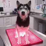 RedWell™ Pet Mat 1