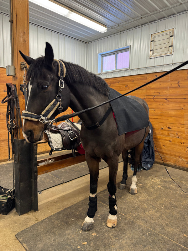 Manta equina RedWell™