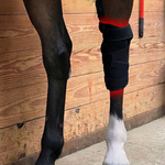 RedWell™ Equine Hock Wrap 1