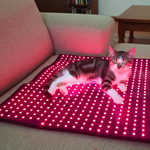 RedWell™ Pet Mat 3