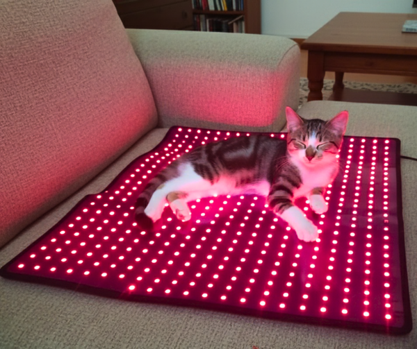 RedWell™ Pet Mat 3