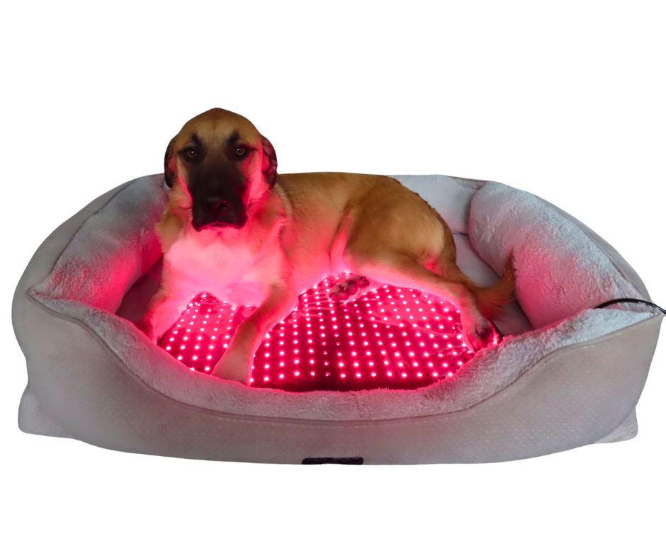 RedWell™ Pet Mat 2