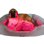 RedWell™ Pet Mat 2