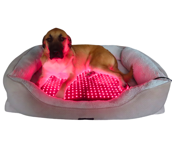 RedWell™ Pet Mat 2